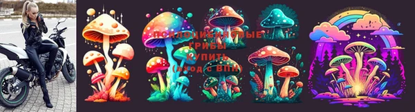 стаф Зеленодольск