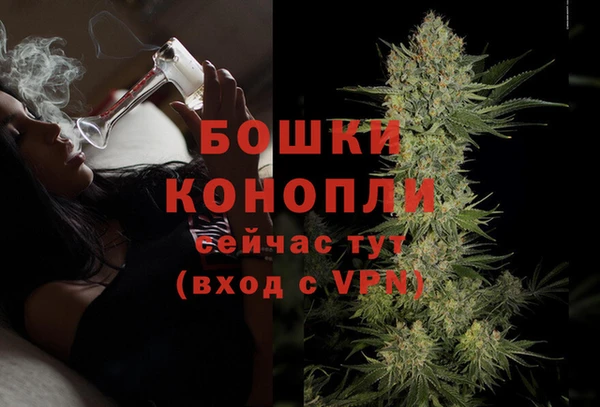 стаф Зеленодольск