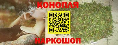 шишки Чебоксары