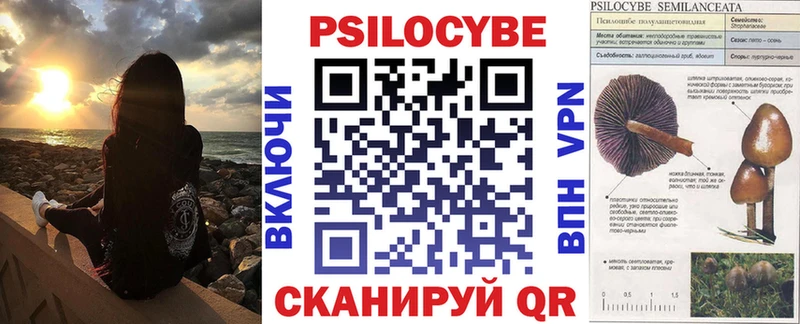 Купить где  Воскресенск  Галлюциногенные грибы GOLDEN TEACHER 